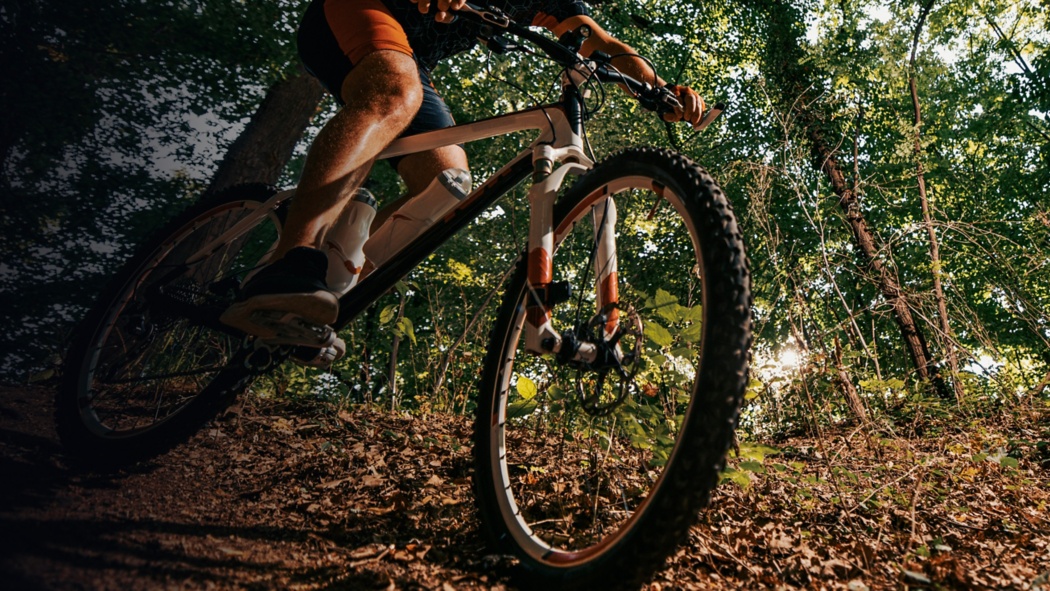 Mountain Biking Allatoona Creek Park